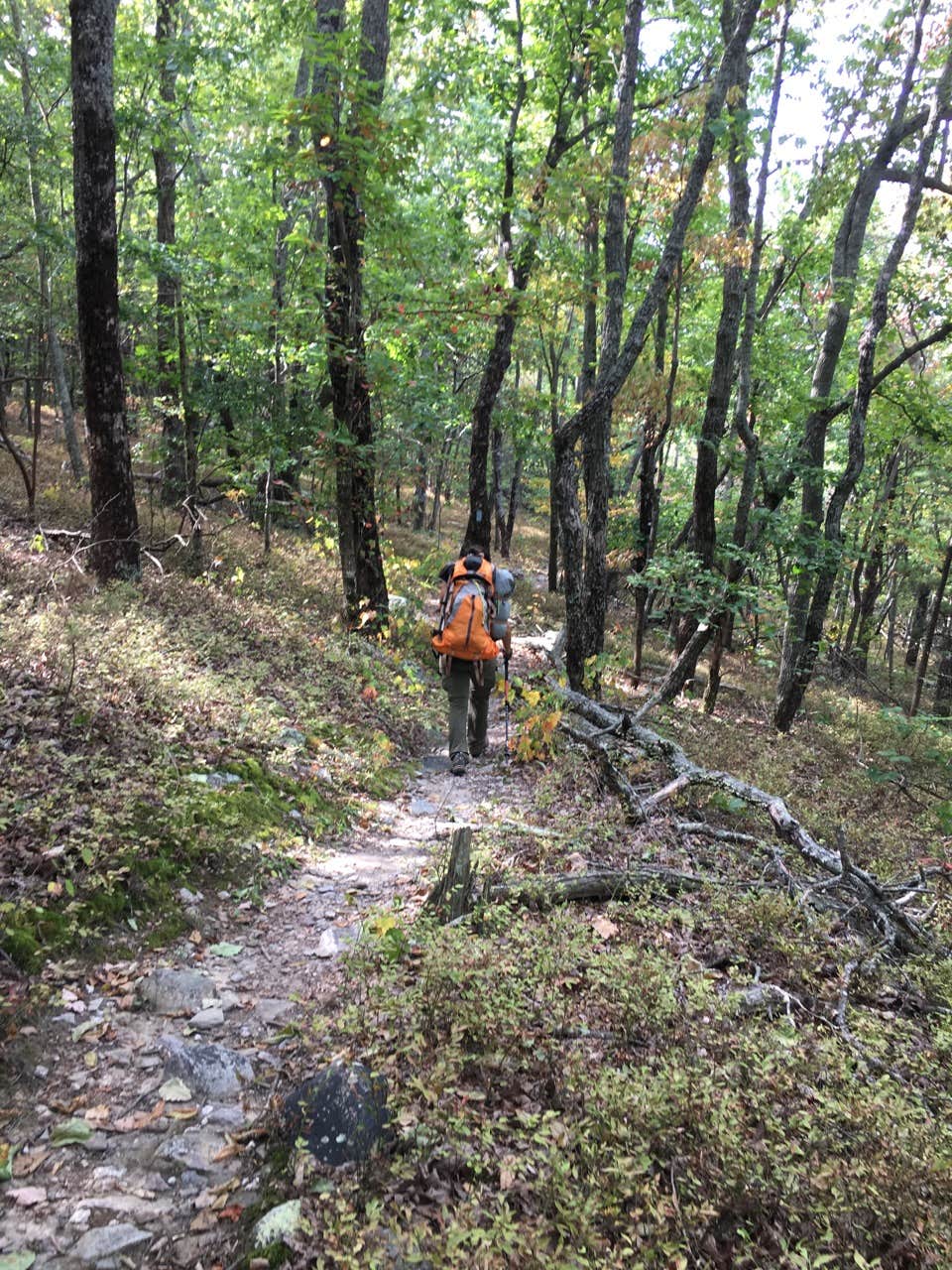 Camper submitted image from Pinhoti Trail Backcountry after passing McDill Point — Cheaha State Park - 3