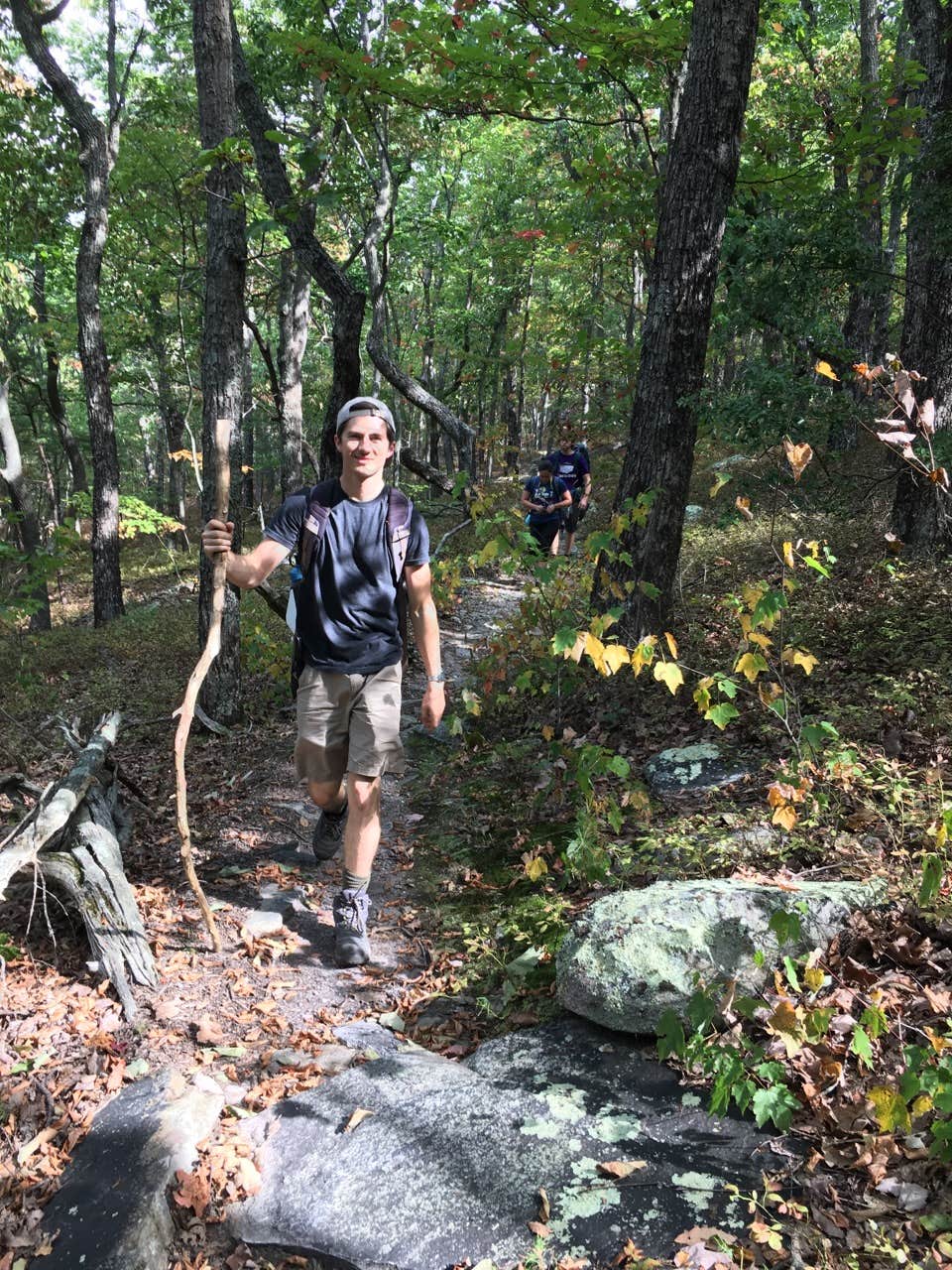 Camper submitted image from Pinhoti Trail Backcountry after passing McDill Point — Cheaha State Park - 3