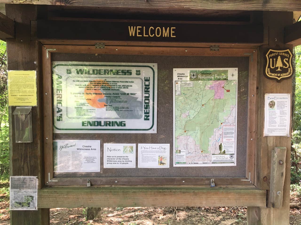 Camper submitted image from Pinhoti Trail Backcountry after passing McDill Point — Cheaha State Park - 5