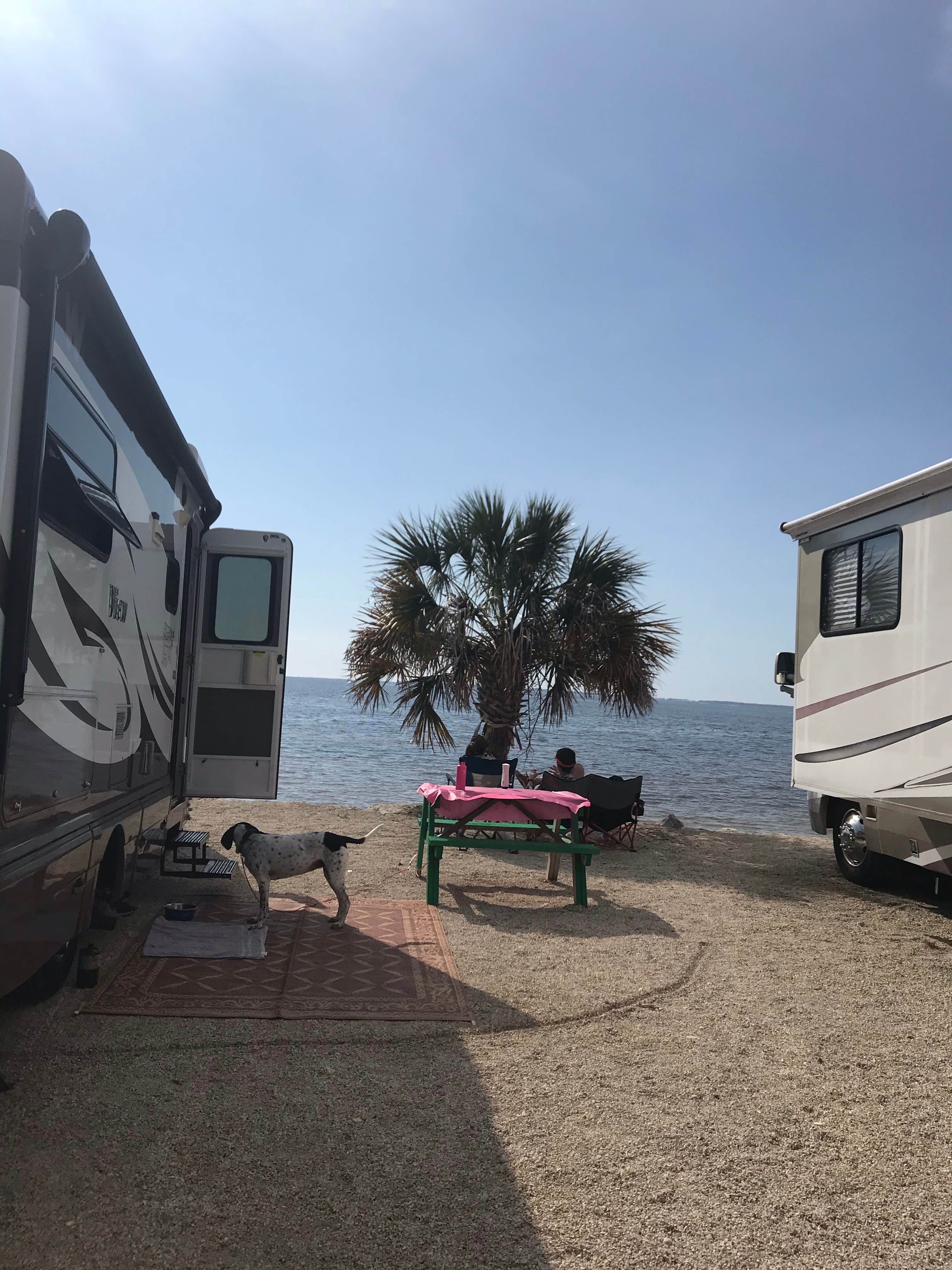 Michelle H.'s photo of camping with pets at Ho-Hum RV Park near Apalachicola National Forest