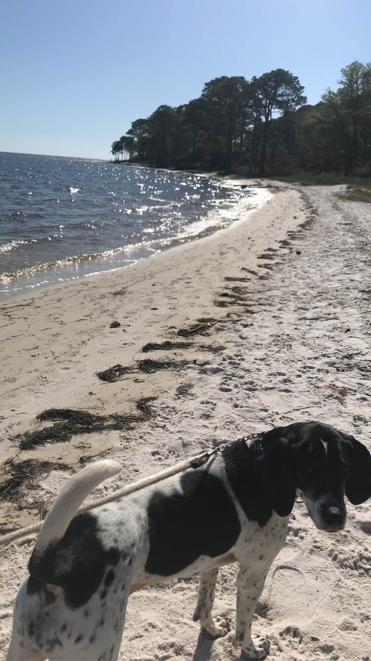 Camper-submitted photo at Ho-Hum RV Park near Eastpoint, FL