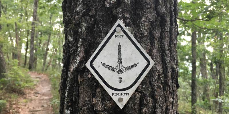 Camper submitted image from Pinhoti Trail Backcountry after passing McDill Point — Cheaha State Park