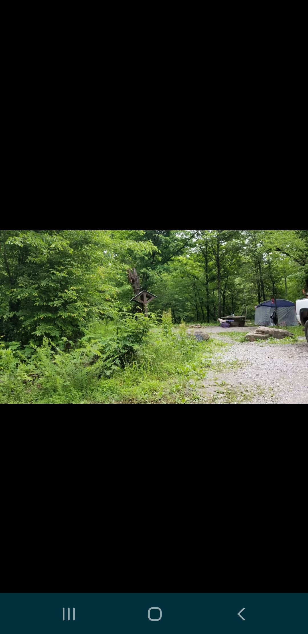 Tyler J.'s photo of a dispersed camping area at Lost Creek - Cherokee NF near Tallassee, TN