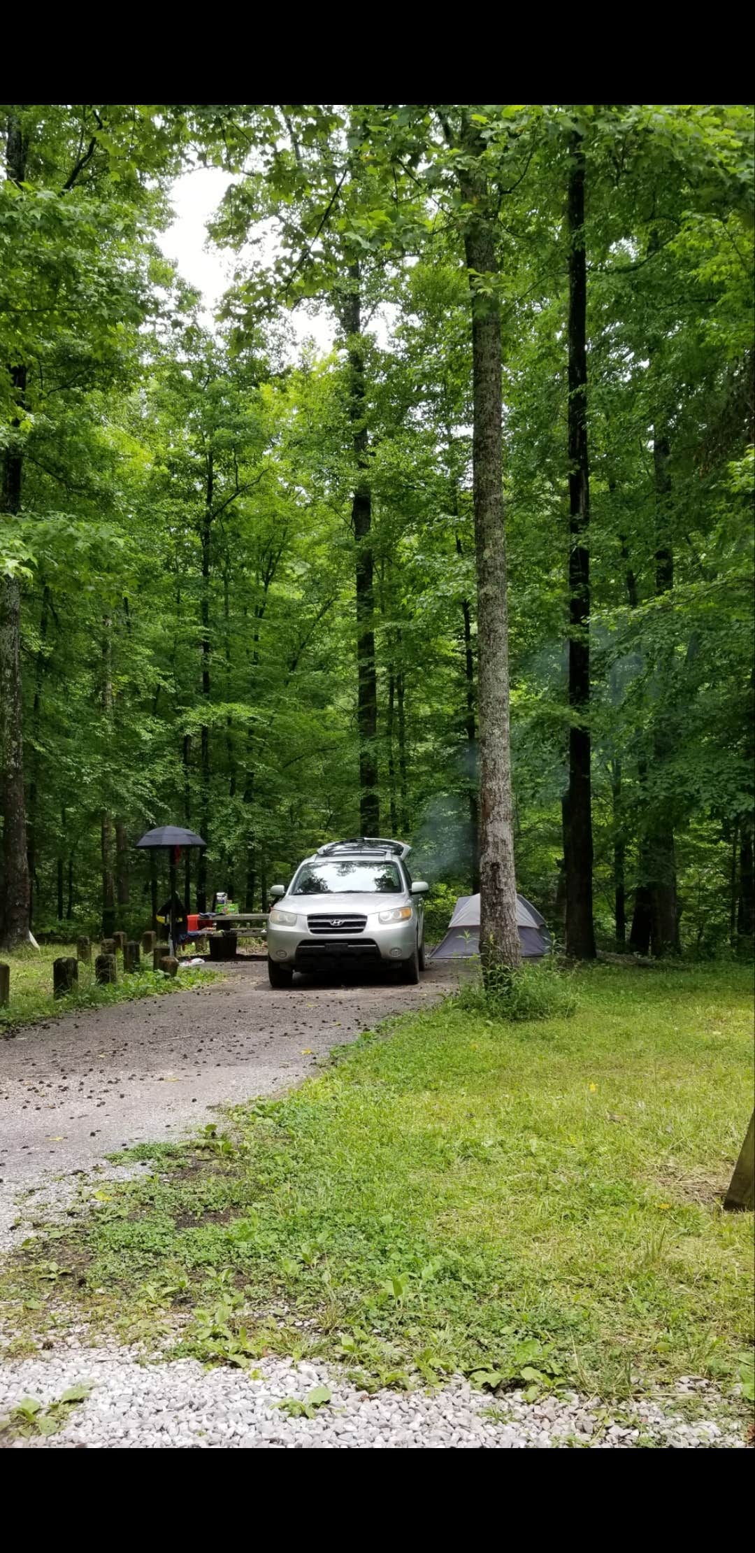 Camper submitted image from Lost Creek - Cherokee NF - 3