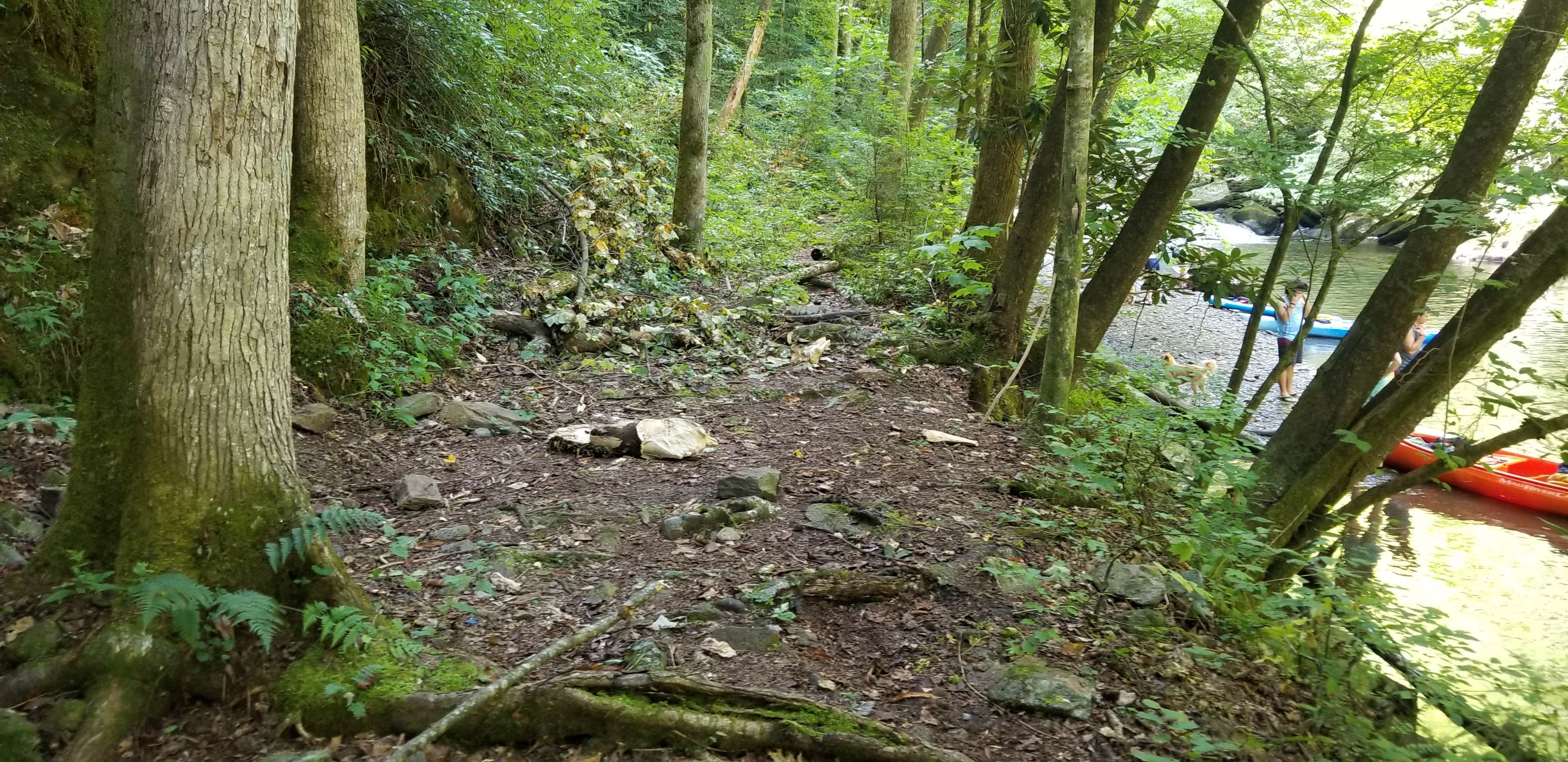 Camper submitted image from Calderwood Lake Primitive campground - 4