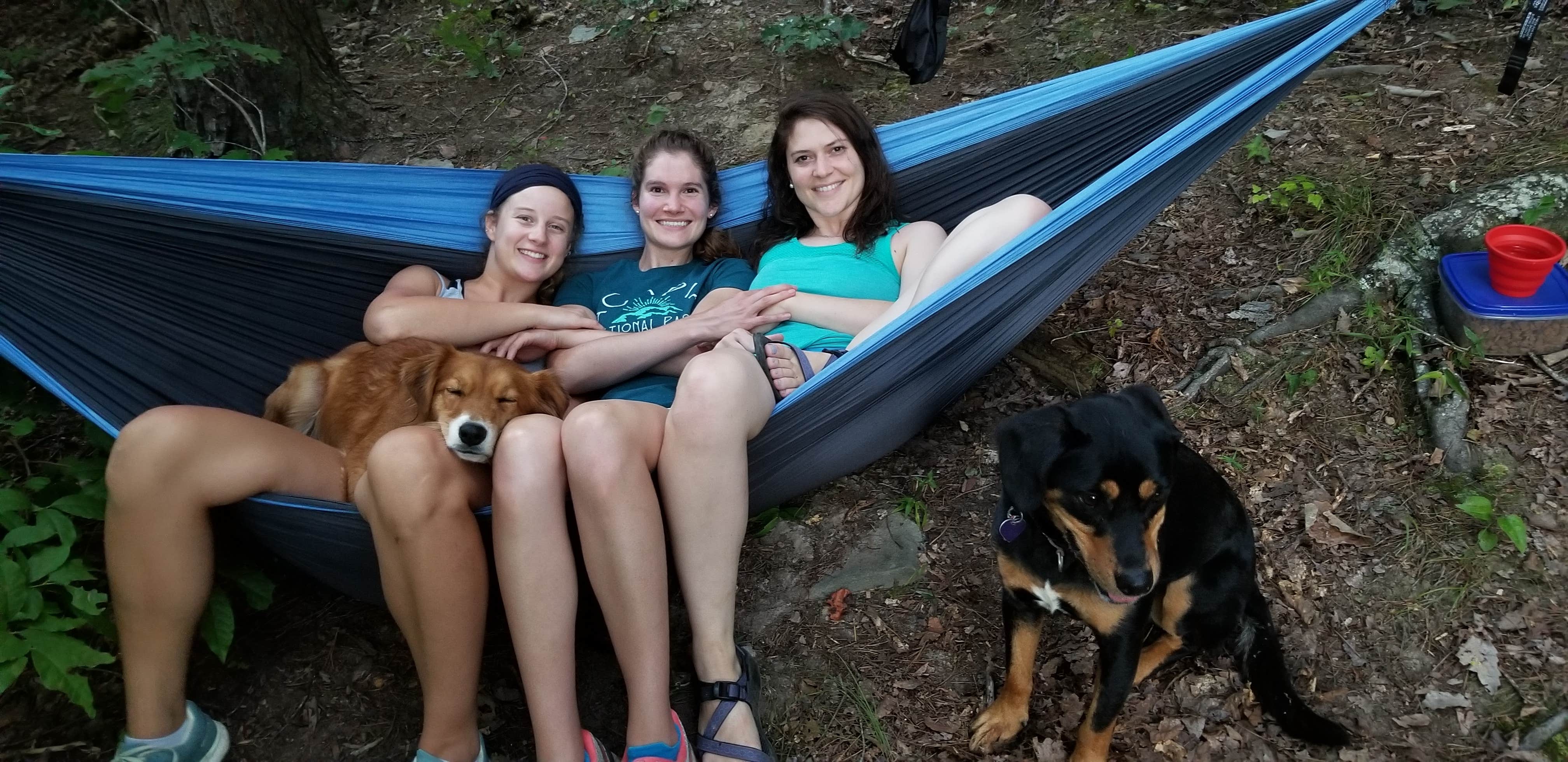 Tyler J.'s photo of camping with pets at Calderwood Lake Primitive campground near Greenback, TN