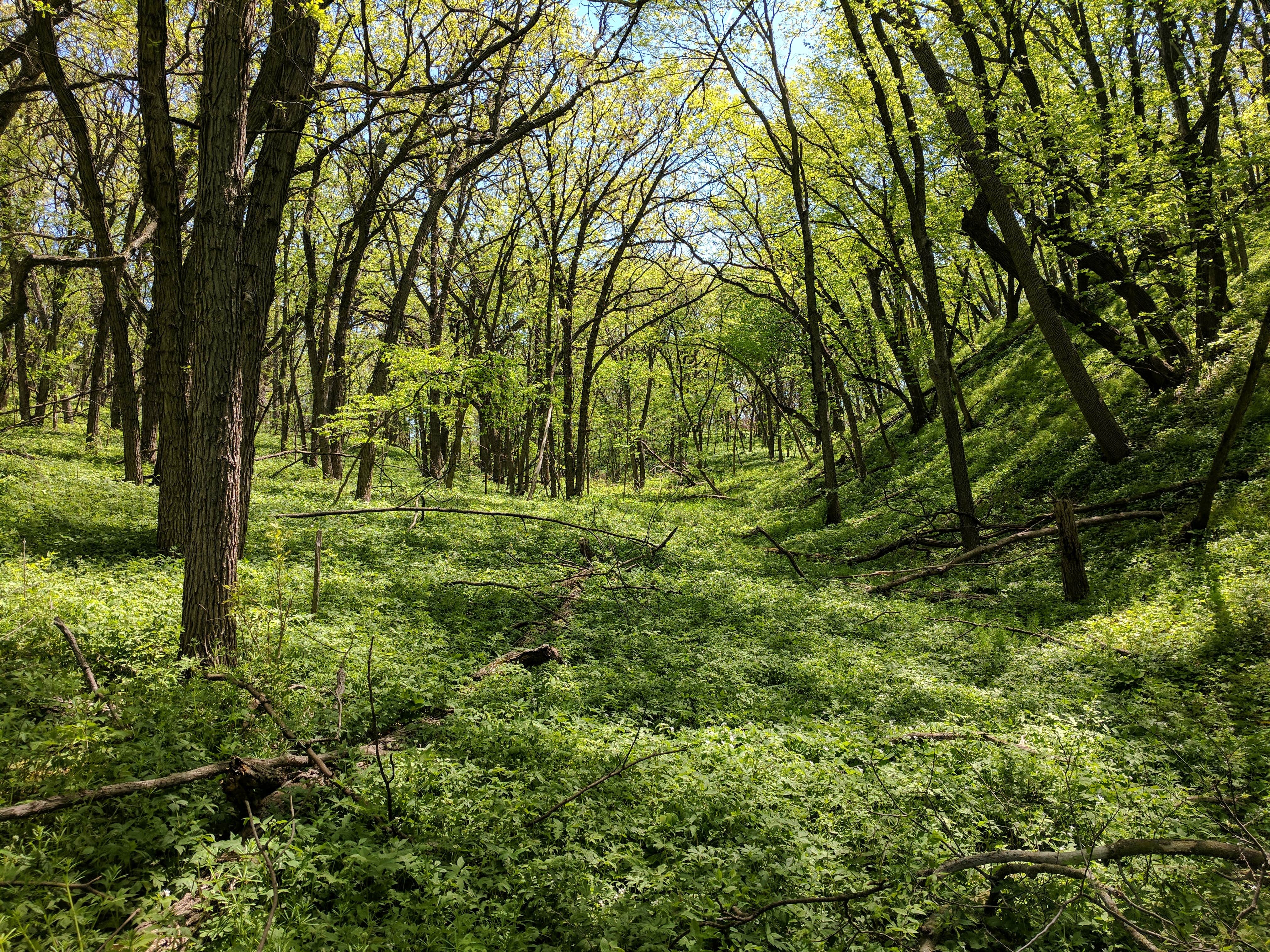 Camper-submitted photo at Riverfront Campground — Ponca State Park near Sioux City, IA