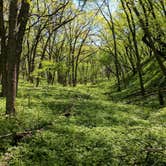 Review photo of Riverfront Campground — Ponca State Park by Austin B., September 7, 2017