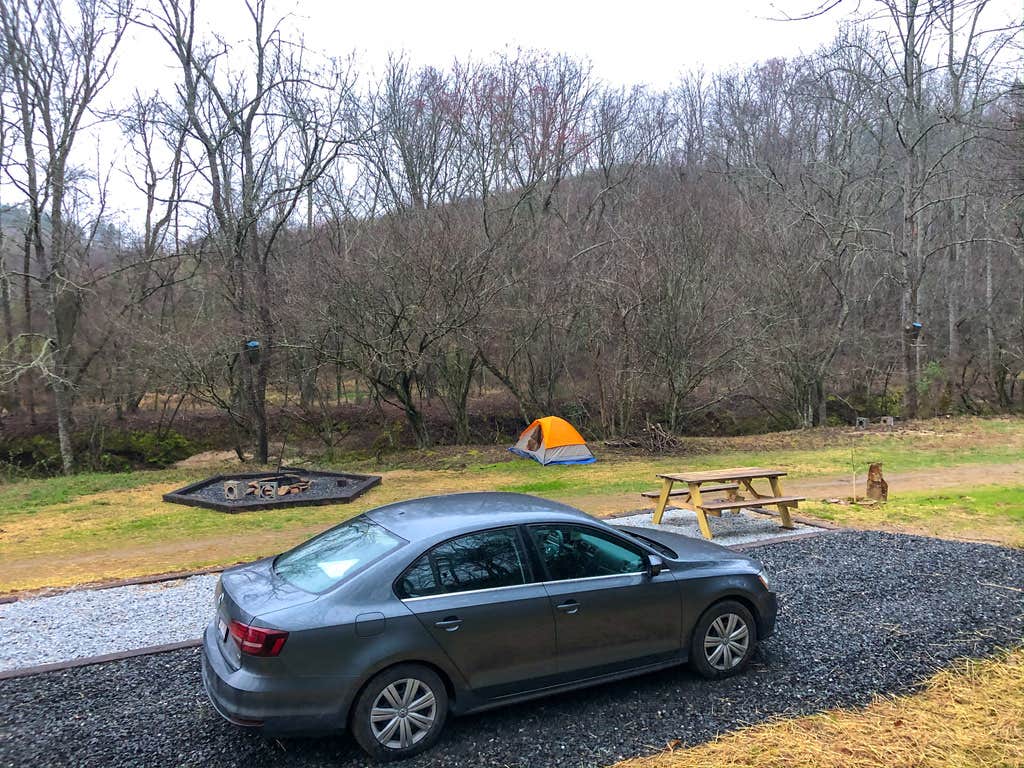 Camper submitted image from Secluded Mitchel River Camping - 4