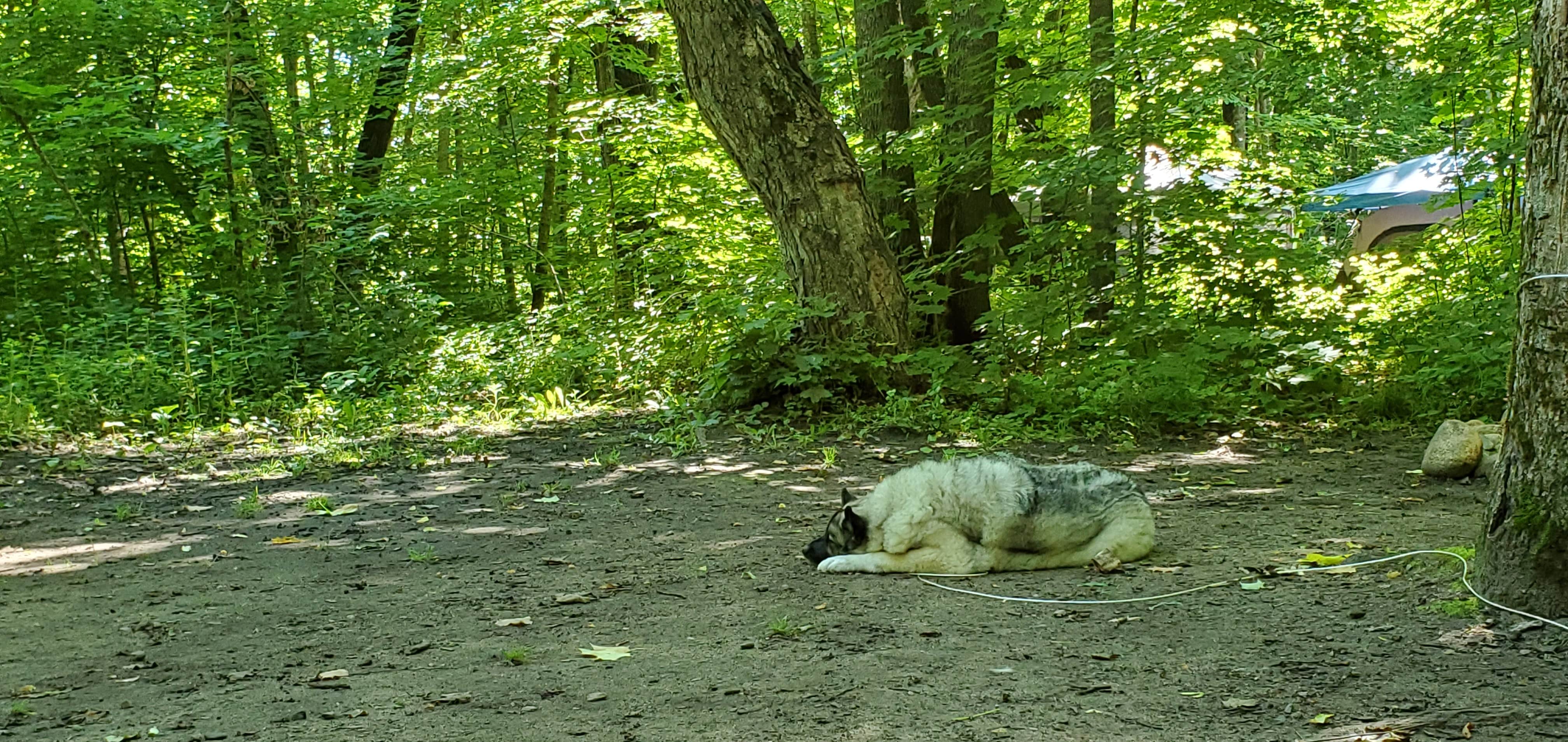 Camper-submitted photo at Campers' Paradise near Rochert, MN