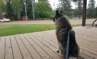 Jesse E.'s photo of camping with pets at Bent Trout Lake Campground near Superior, WI