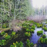 Review photo of Millersylvania State Park Campground by Rob I., March 20, 2020