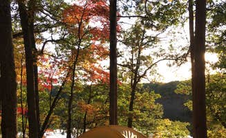 Bruce L.'s photo of a dispersed camping area at Government Landing Campground near Arcadia, MI