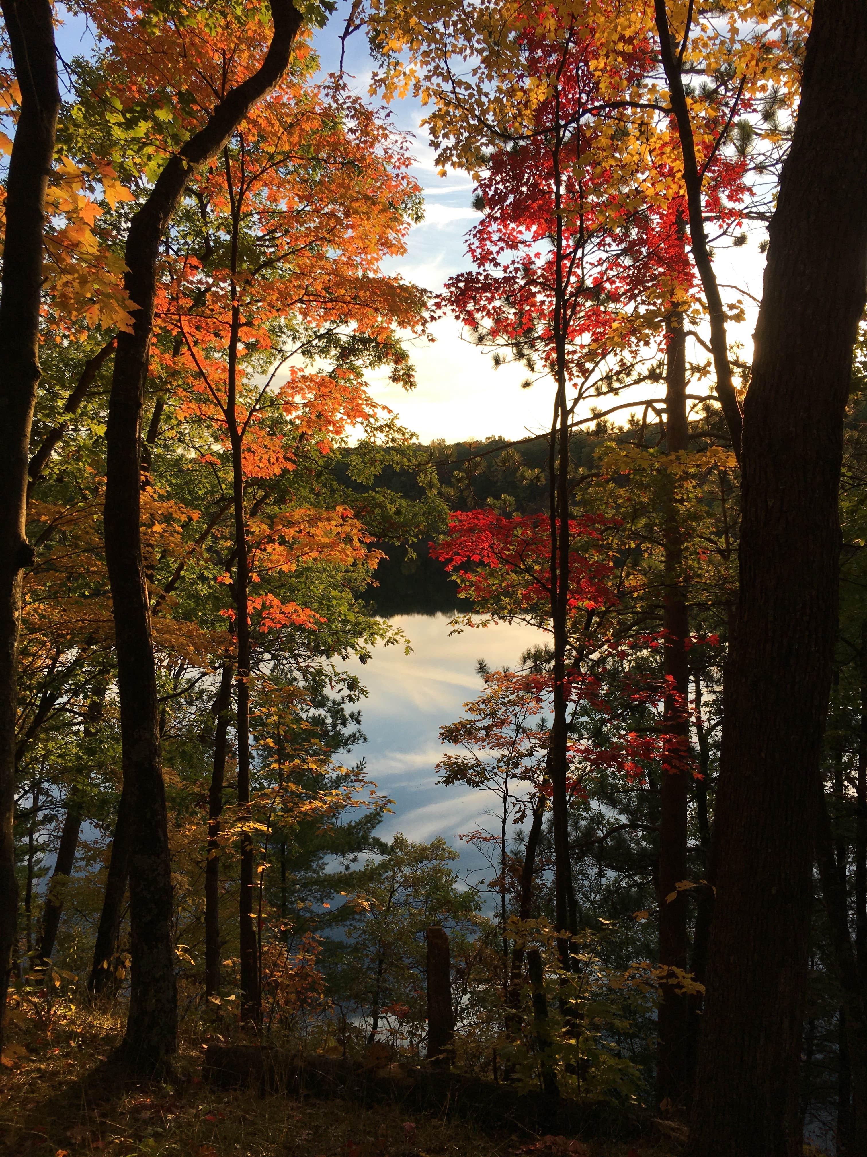 Camper submitted image from Government Landing Campground - 2