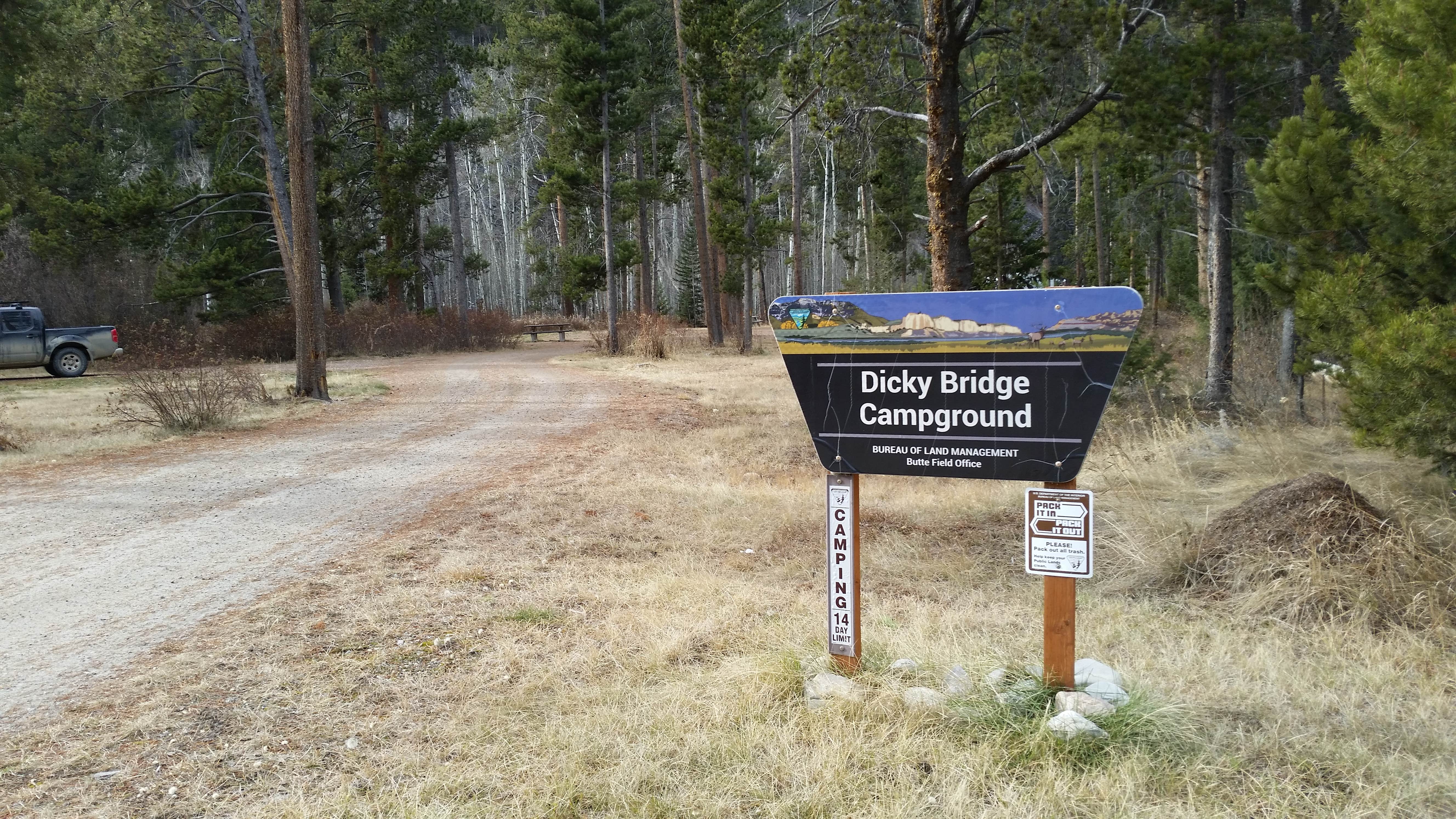 Camper submitted image from Dickie Bridge - 3