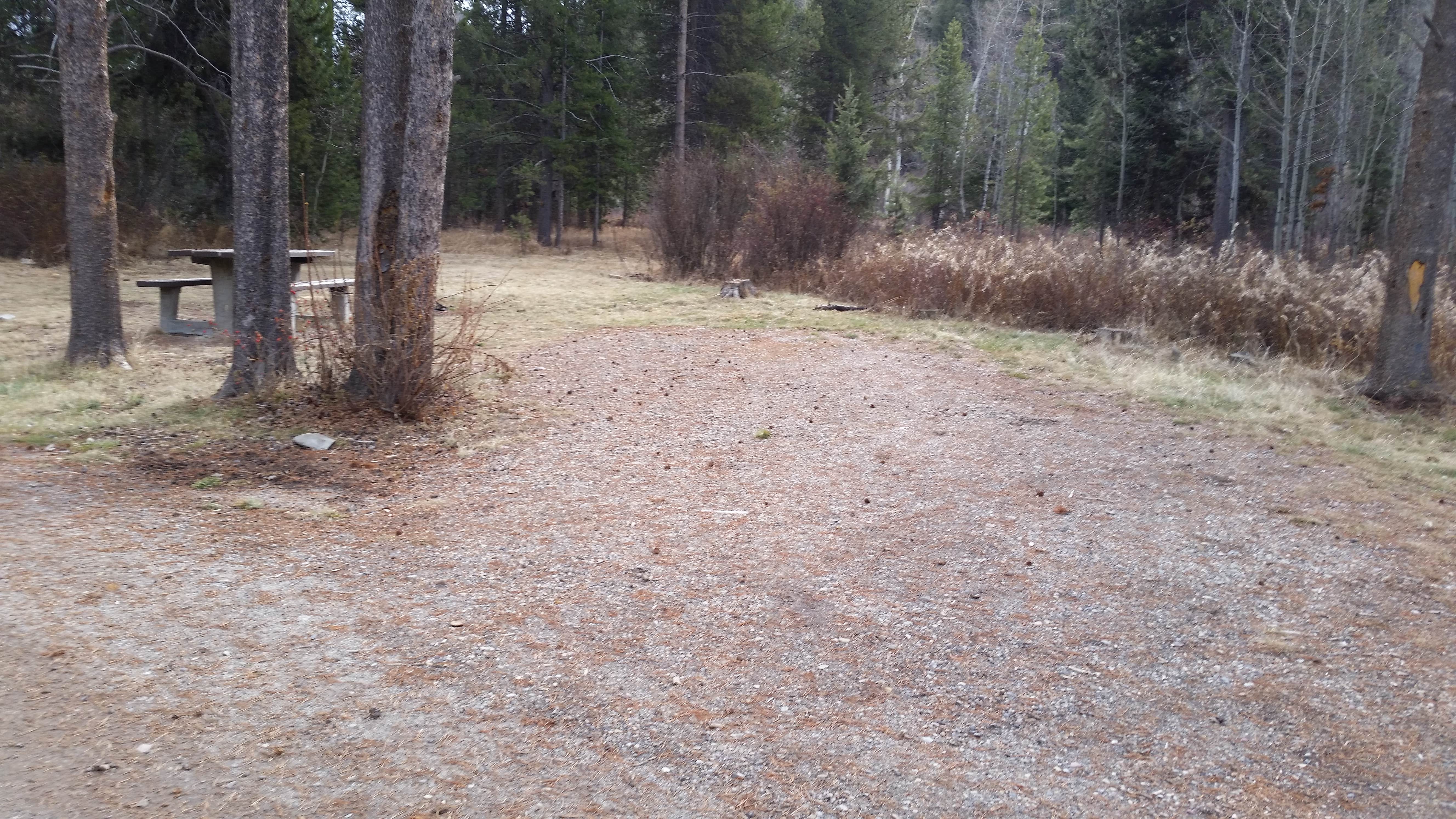 Camper-submitted photo at Dickie Bridge near Anaconda-Deer Lodge County, MT