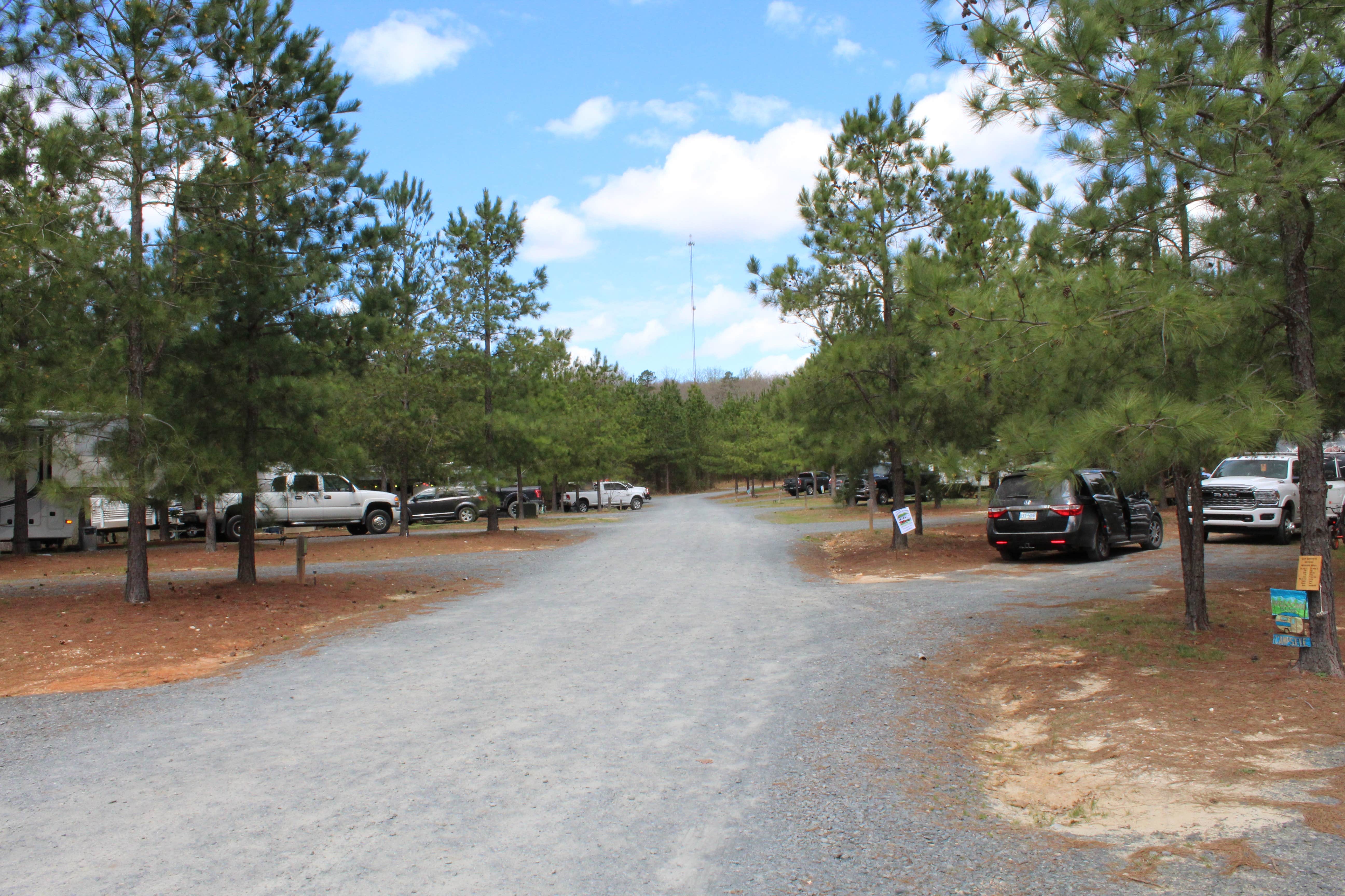 Camper submitted image from Yogi Bear's Jellystone Park at Asheboro - 3