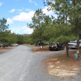 Review photo of Yogi Bear's Jellystone Park at Asheboro by Brian R., March 21, 2020