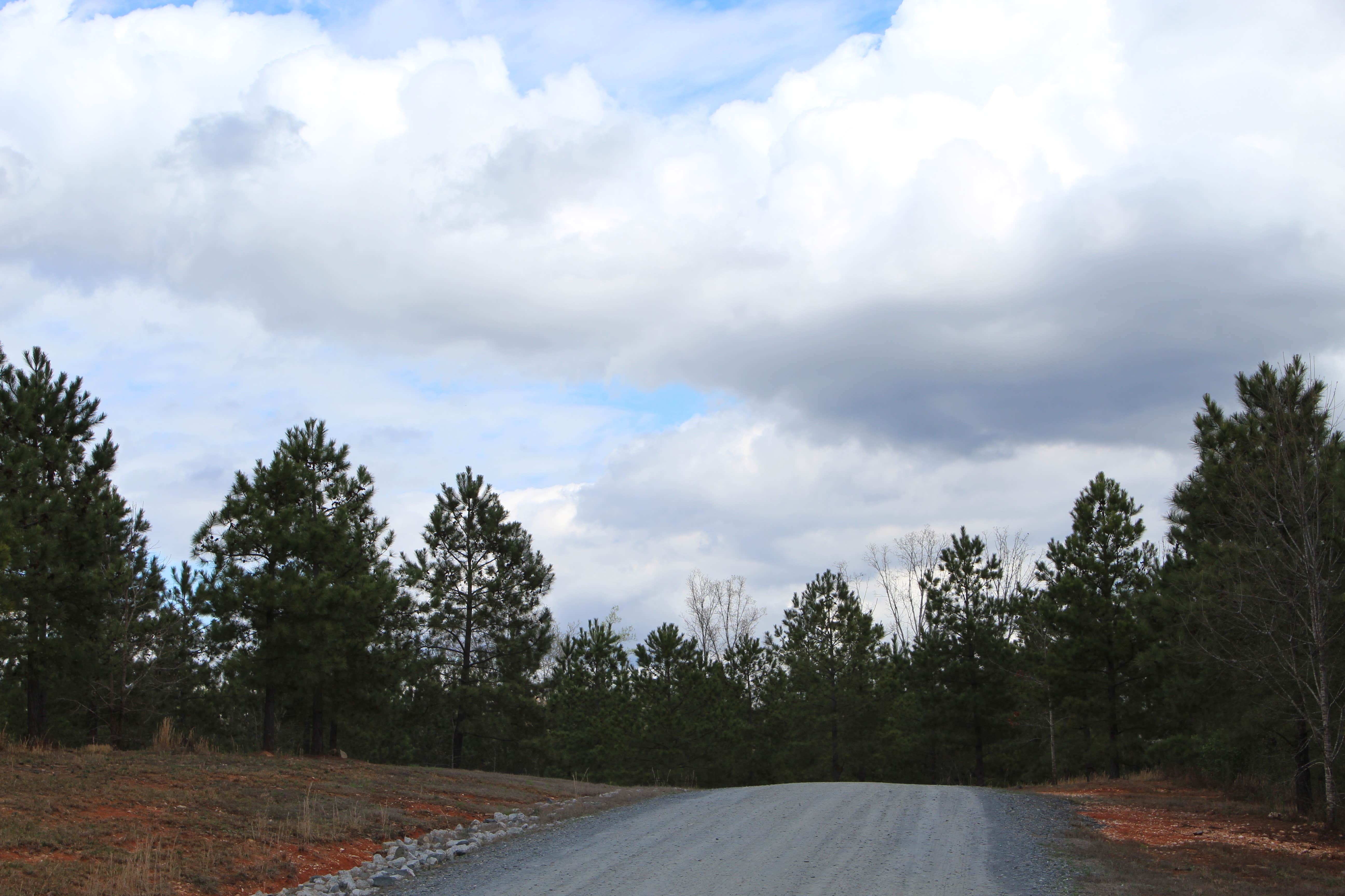 Camper submitted image from Yogi Bear's Jellystone Park at Asheboro - 3