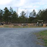 Review photo of Yogi Bear's Jellystone Park at Asheboro by Brian R., March 21, 2020