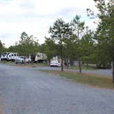 Review photo of Yogi Bear's Jellystone Park at Asheboro by Brian R., March 21, 2020