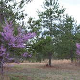 Review photo of Yogi Bear's Jellystone Park at Asheboro by Brian R., March 21, 2020