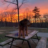 Review photo of Lake of the Ozarks State Park Campground by Scott M., March 19, 2020