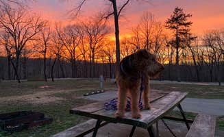 Scott M.'s photo of camping with pets at Lake of the Ozarks State Park Campground near Lebanon, MO