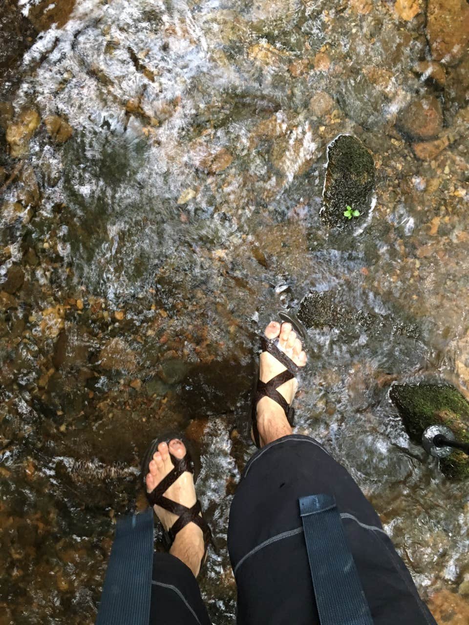 Camper submitted image from Conasauga River Campground - 5