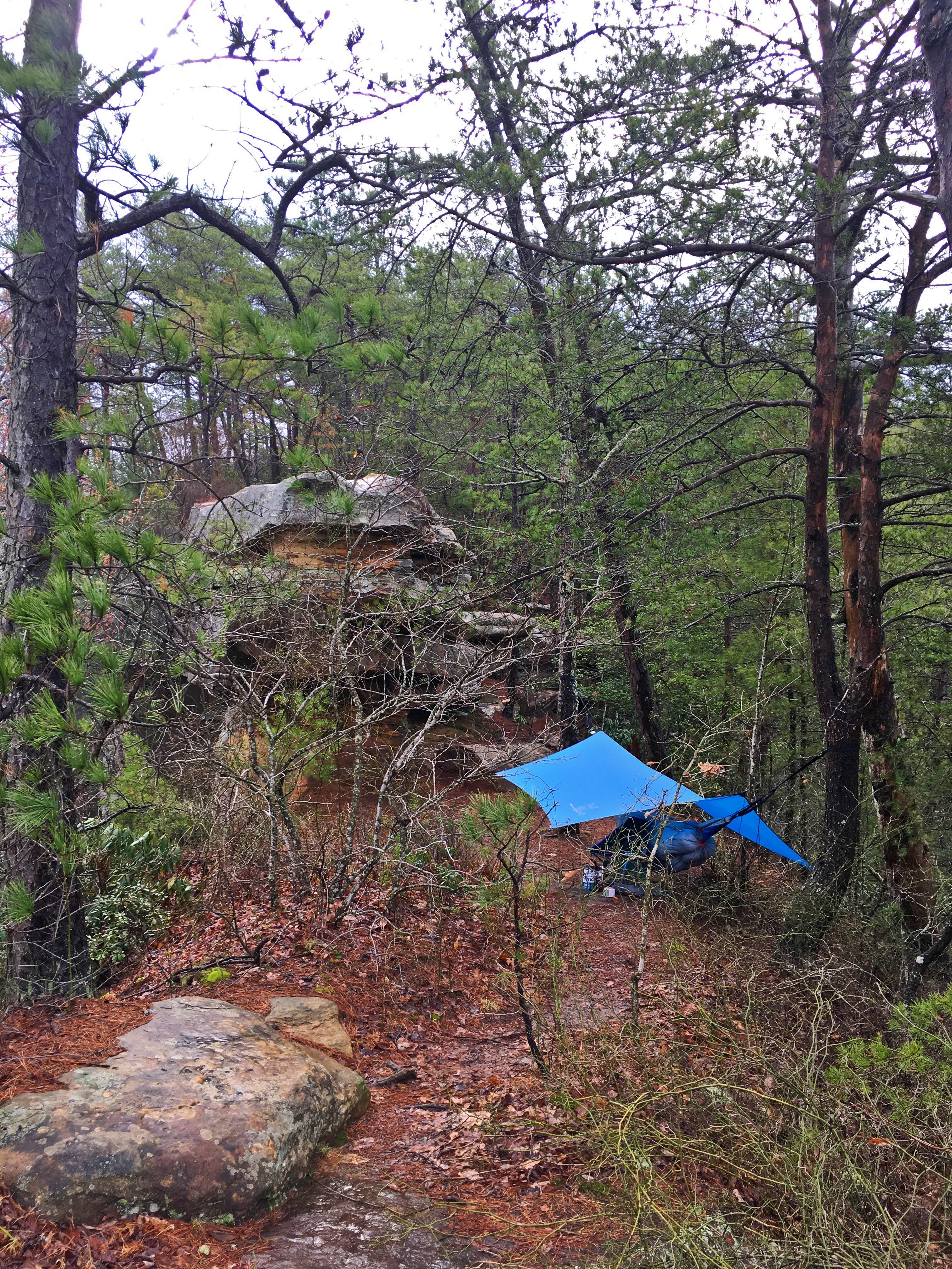 Wayne H.'s photo at Red River Gorge Campground near Stanton, KY