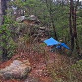 Review photo of Red River Gorge Campground by Wayne H., March 21, 2020