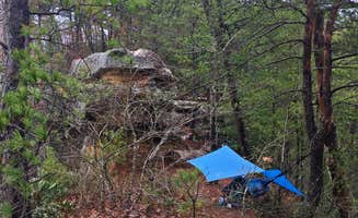 Wayne H.'s photo at Red River Gorge Campground near Daniel Boone National Forest