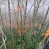 Review photo of Red River Gorge Campground by Wayne H., March 21, 2020