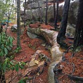 Review photo of Red River Gorge Campground by Wayne H., March 21, 2020