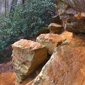 Review photo of Red River Gorge Campground by Wayne H., March 21, 2020