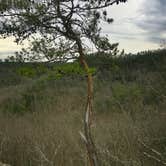 Review photo of Red River Gorge Campground by Wayne H., March 21, 2020