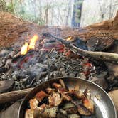 Review photo of Red River Gorge Campground by Wayne H., March 21, 2020