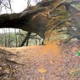 Review photo of Red River Gorge Campground by Wayne H., March 21, 2020