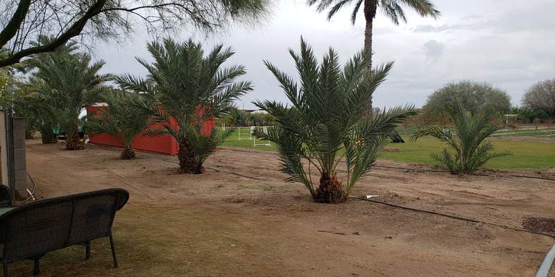 Camper submitted image from Pinnacle Farms South