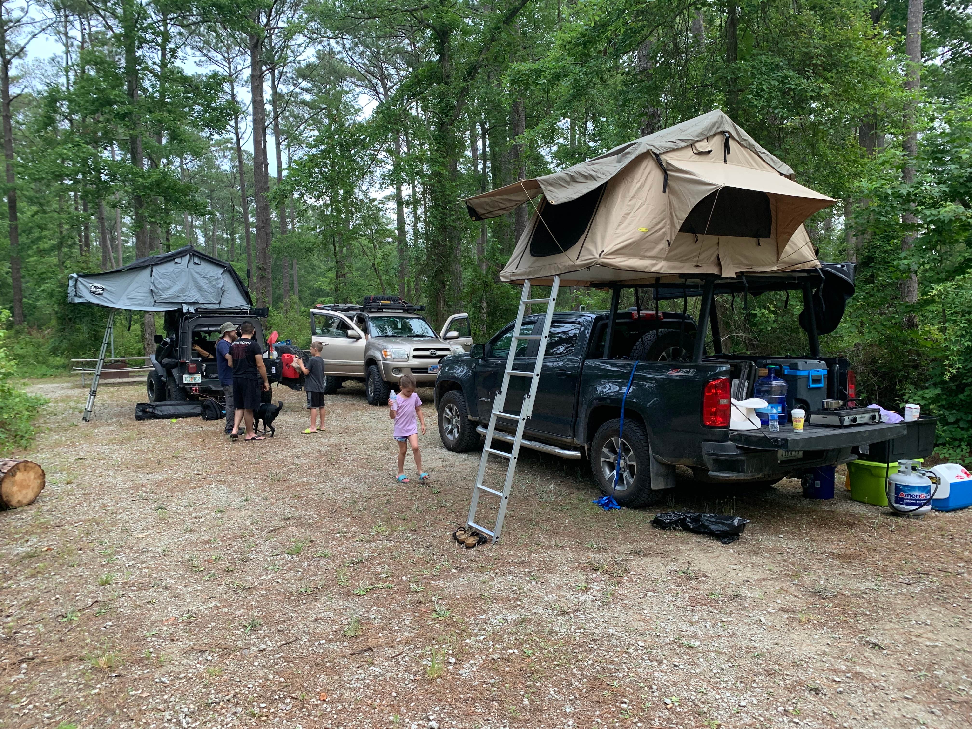 David B.'s photo at Oyster Point Campground near Cherry Point, NC