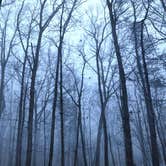Review photo of Cloudland Canyon State Park Campground by Stephen  D., March 23, 2020