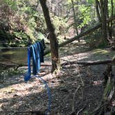 Review photo of Conasauga River Campground by Asher K., September 7, 2017