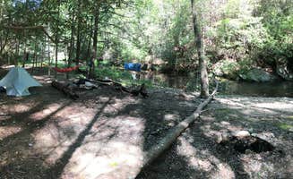 Asher K.'s photo at Conasauga River Campground near Cisco, GA