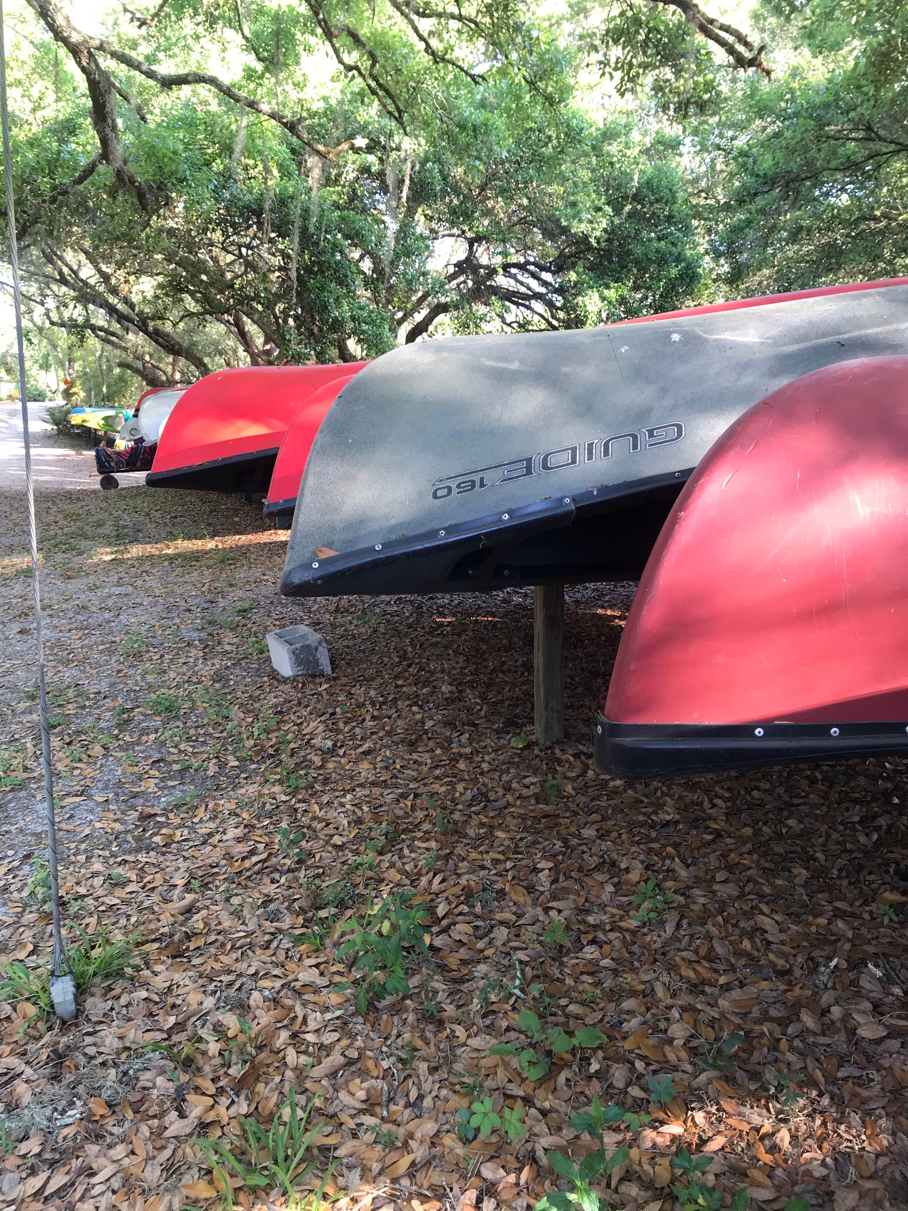 Matt-Mandi M.'s photo at Canoe Outpost Little Manatee River near Durant, FL