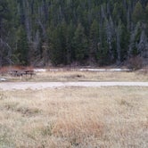 Review photo of East Bank Rec Site by Dexter I., March 23, 2020