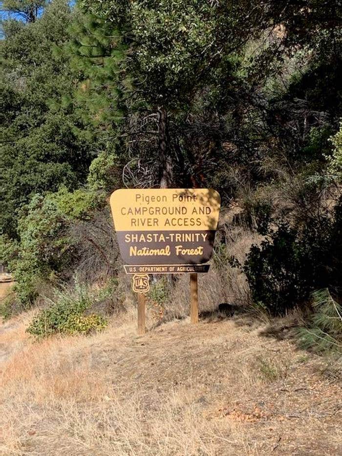 Camper submitted image from Pigeon Point Group Campground - 2