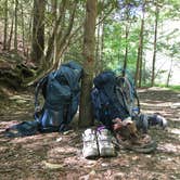 Review photo of Hickory Creek and Conasauga River Intersection Backcountry Campground by Asher K., September 7, 2017