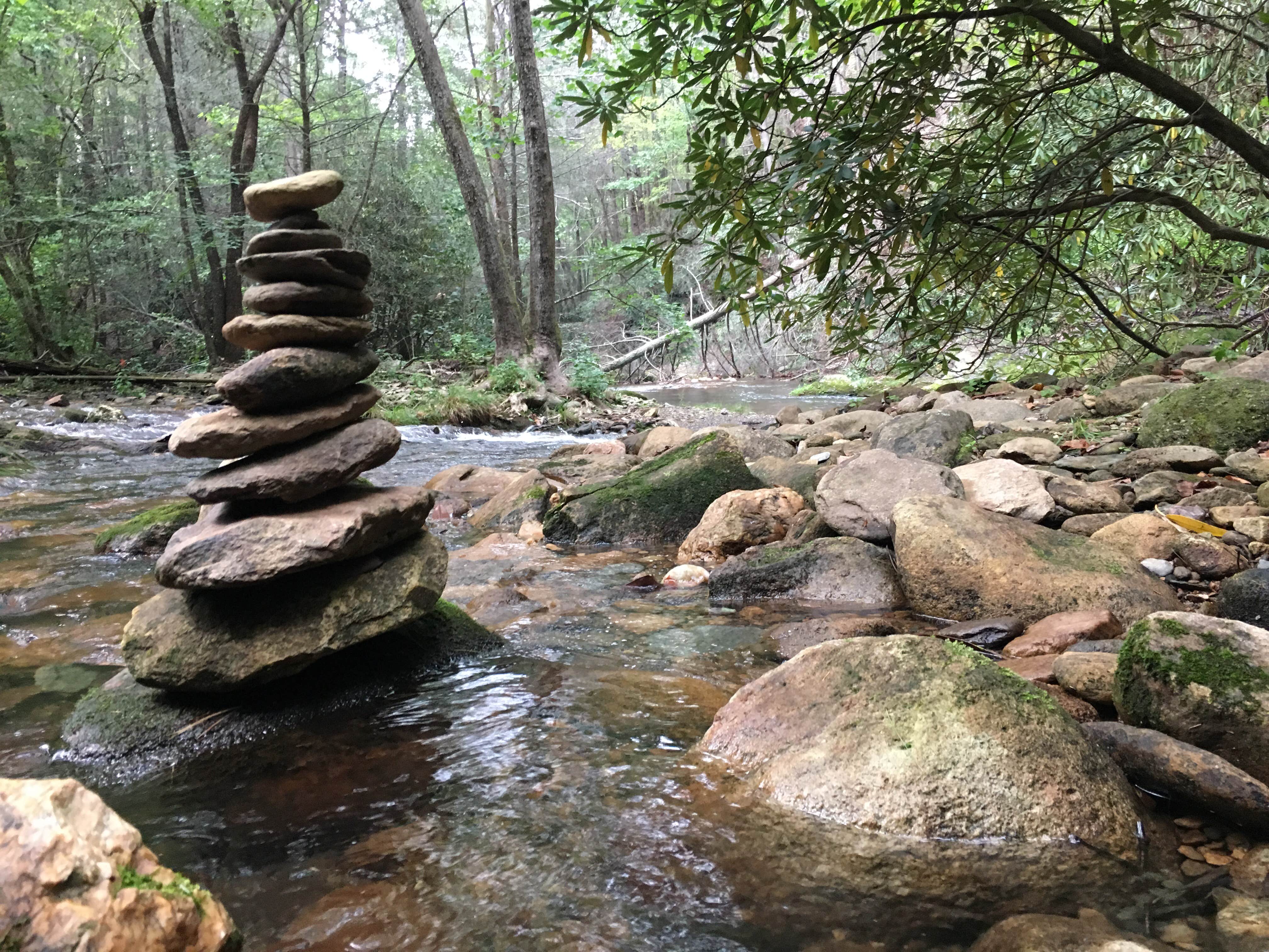 Camper submitted image from Hickory Creek and Conasauga River Intersection Backcountry Campground - 4