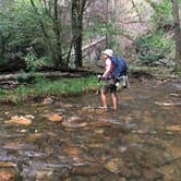 Review photo of Hickory Creek and Conasauga River Intersection Backcountry Campground by Asher K., September 7, 2017