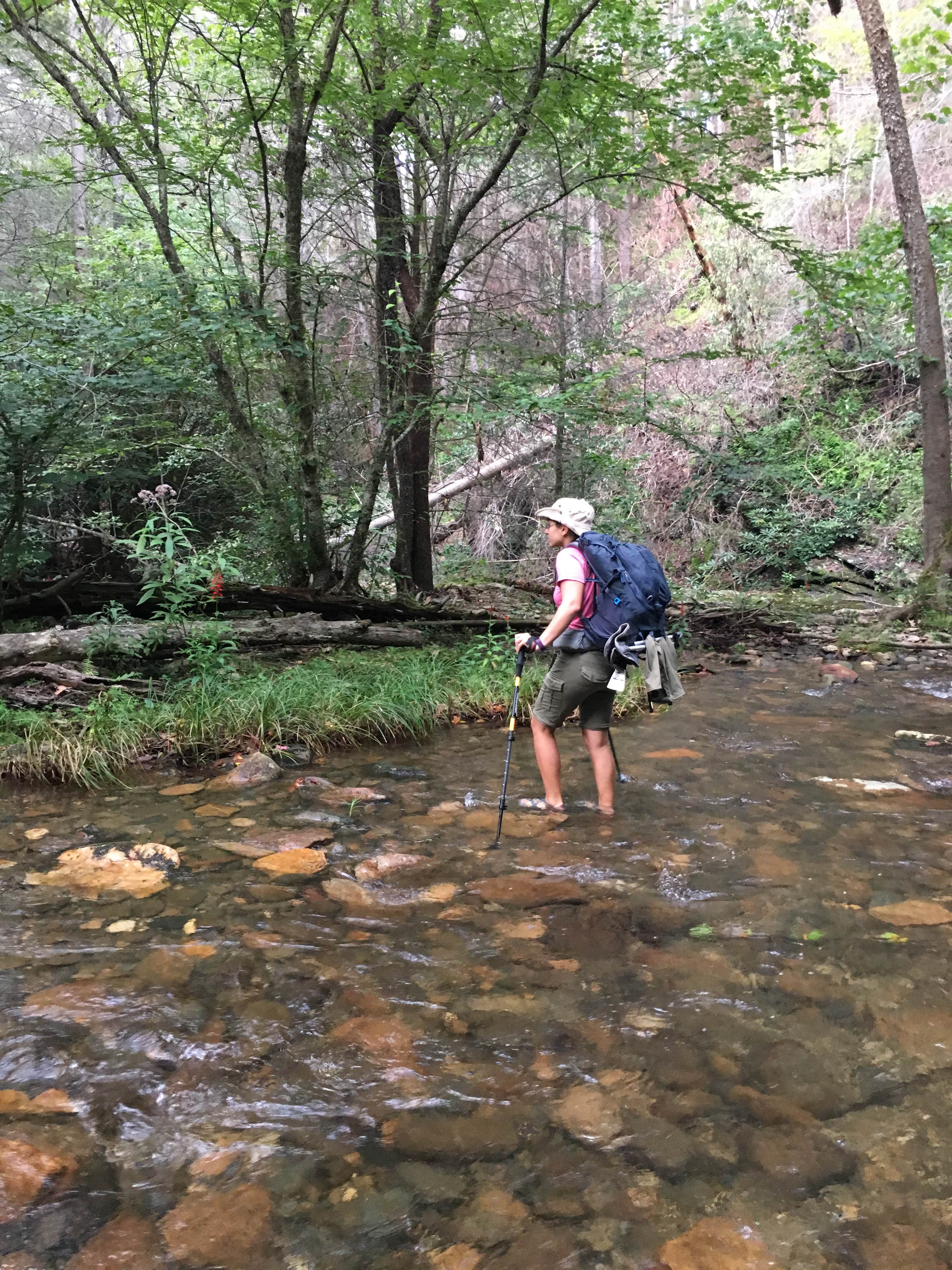 Camper submitted image from Hickory Creek and Conasauga River Intersection Backcountry Campground - 5